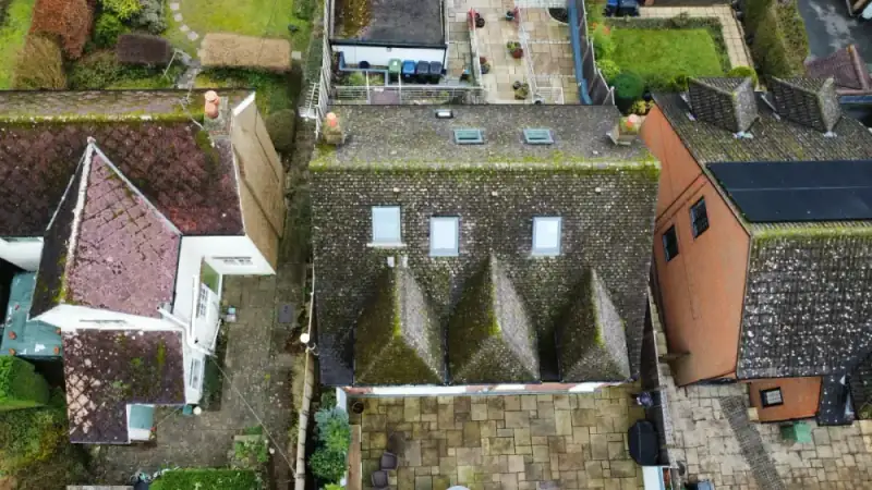 Moss and algae spreading across roof tiles, before a preventative biocide treatment